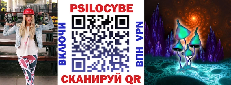 Галлюциногенные грибы Psilocybe  Куровское 
